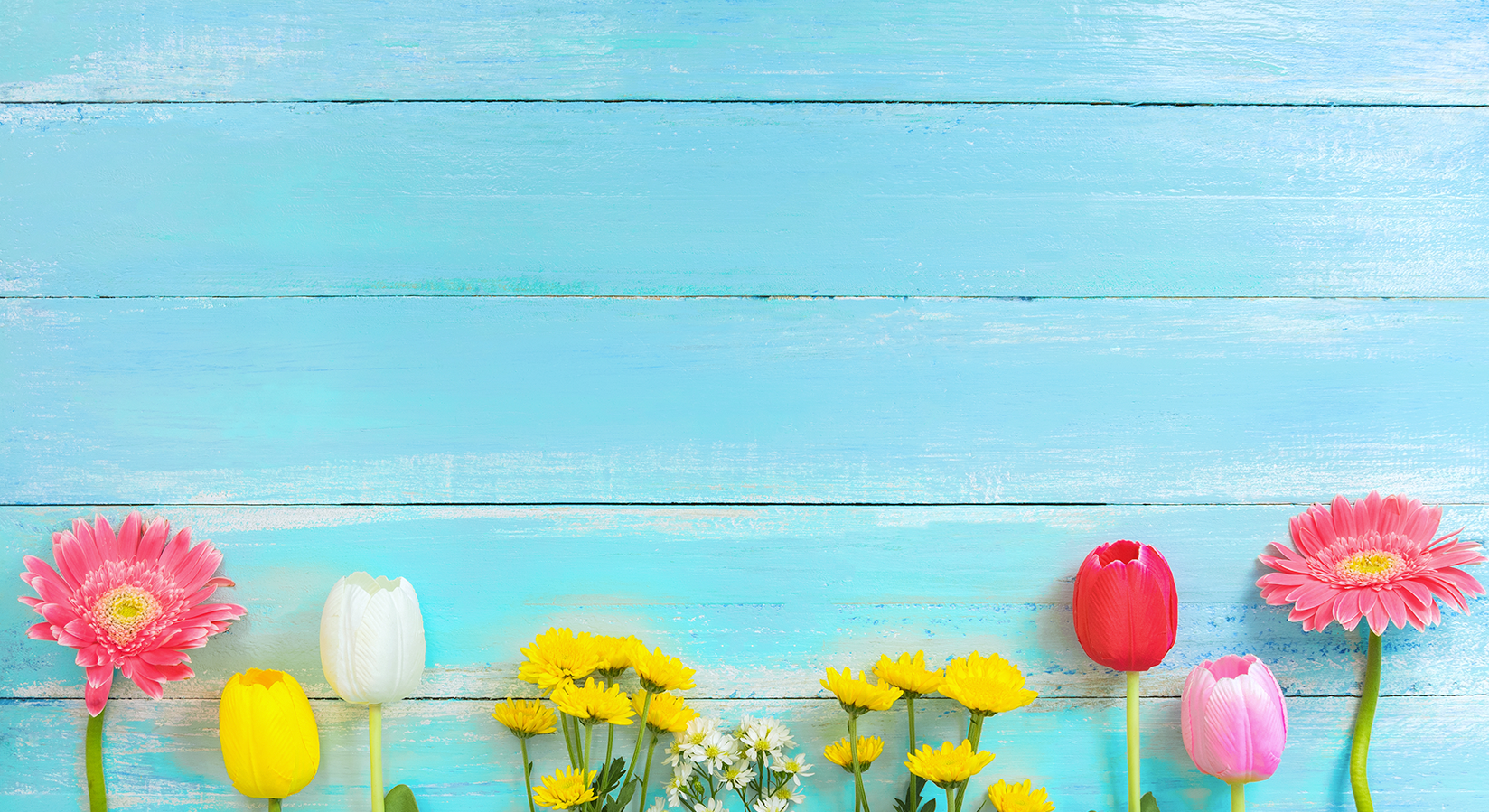 Flowers with blue wall in the back